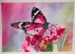 watercolor painting of a pink butterfly sitting on the blossoms of a pink flower.